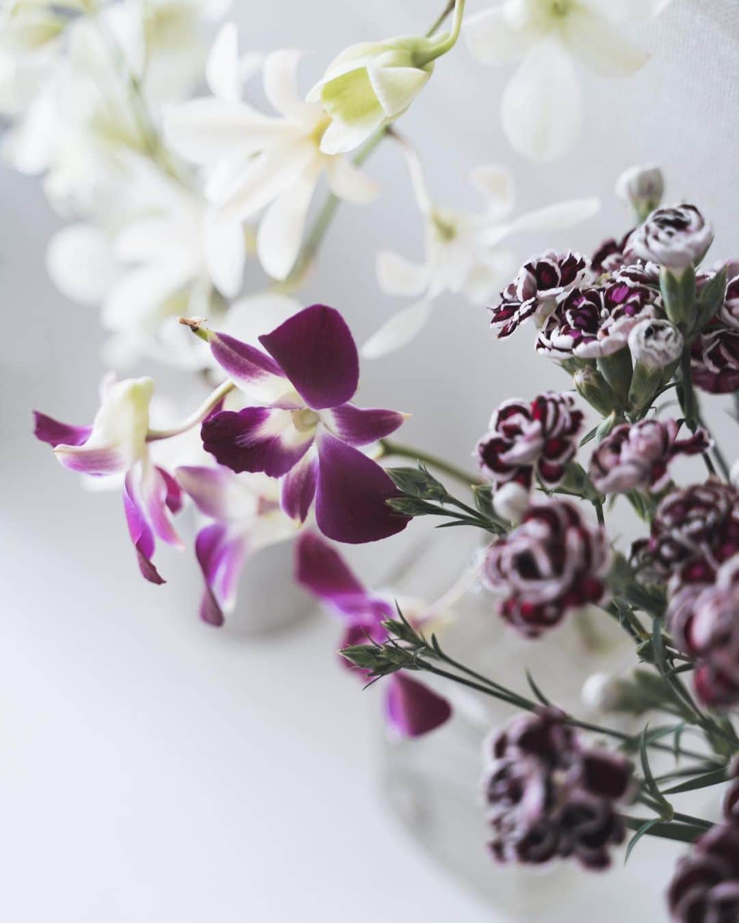 市川渚さんのインスタグラム写真 - (市川渚Instagram)「#Thankyoumom 💐﻿ ﻿ ﻿ ﻿ 私信：私のインスタ隠れウォッチャーだった母はきっとここを見ていると思うので。﻿ ﻿ 今年のお花は少し遅れて届くことになってしまいましたが、Figueさんにお願いしたのでお楽しみに。3年前の母の日にあげたTOKIIROの多肉植物、元気かなあ、父が枯らしてないといいのだけれど…﻿ ﻿ しかし、花は飾るの好きだけど、いまいち飾るセンスや生けるセンスがないところは間違いなくあなたに似ましたねえ。 ﻿ もう少し状況が落ち着いたらお墓参りに行きます、良心院のおじさんたちに何かあったりしたら申し訳ないので自粛してたのだ🥺🙏﻿では、また。 ﻿ #母の日#mothersday#20200510」5月10日 10時47分 - nagiko