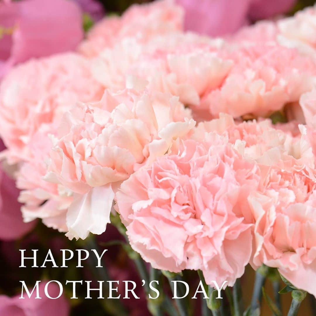 のインスタグラム：「HAPPY MOTHER’S DAY ! ・ 今日は母の日です。 たくさんの方が花に感謝の気持ちを託して、お母さまへ贈られたことかと思います。 ・ 今年は、新型コロナウイルスの感染拡大による“三密”・“配送の混乱”回避に、花業界も協力し、5月を「 #母の月 」とすることが決定しました。 5月は芍薬（シャクヤク）が旬を迎える時期です。ぜひ美しい花をおうち時間にプラスしてみてくださいね。 - - - #aoyamahanamo #flowers #flowershop #florist #instaflower #flowergram #flowerstagram #flowerlovers #花 #花屋 #生花店 #フラワー #ザ花部 #花のある暮らし #花のある生活 #青山花茂 #母の日 #母の日ギフト#mothersday #happymothersday #カーネーション #carnation #母の月」