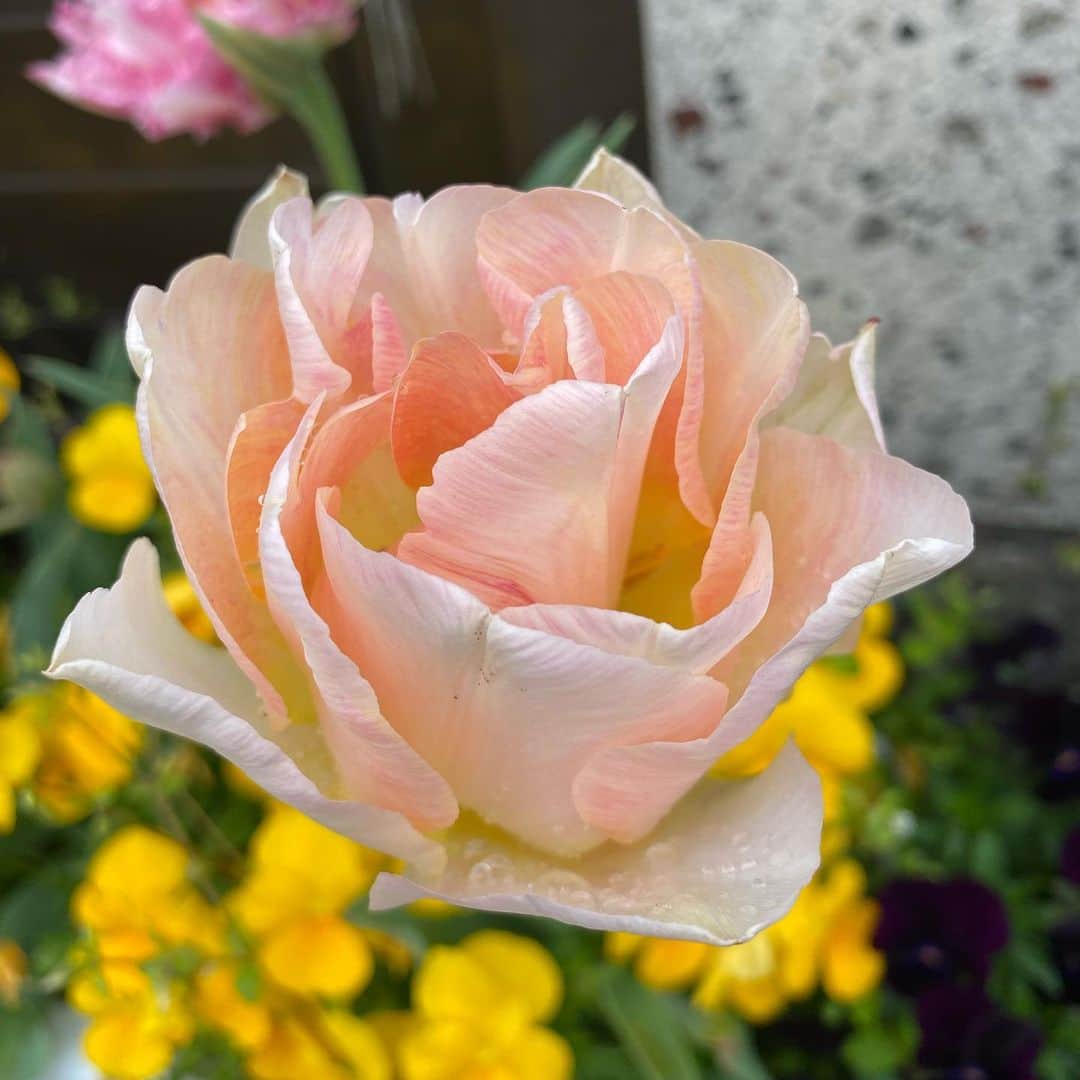 魔女菅原のグルメインスタ