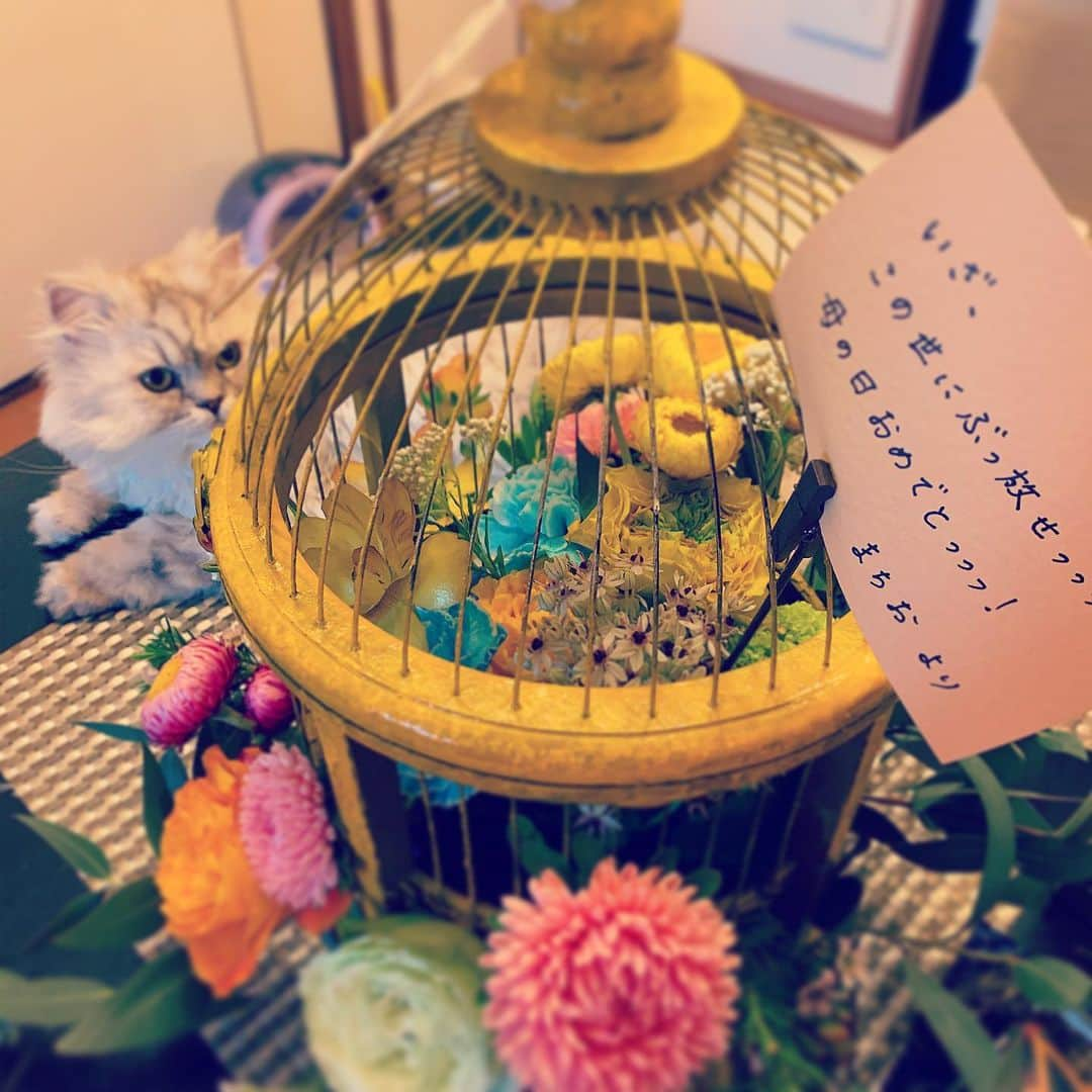 SATOKOさんのインスタグラム写真 - (SATOKOInstagram)「#母の日 のお花が届いた。 確かにもうすぐ母になるが誰から？と思ったら親友からだった。笑 今日ってそういう日だっけ？笑笑 天才すぎて爆笑🤣 優しいなぁ…。 世の中のお母さん、いつもお疲れさま♡ ありがとう♡」5月10日 10時54分 - fc_satoko