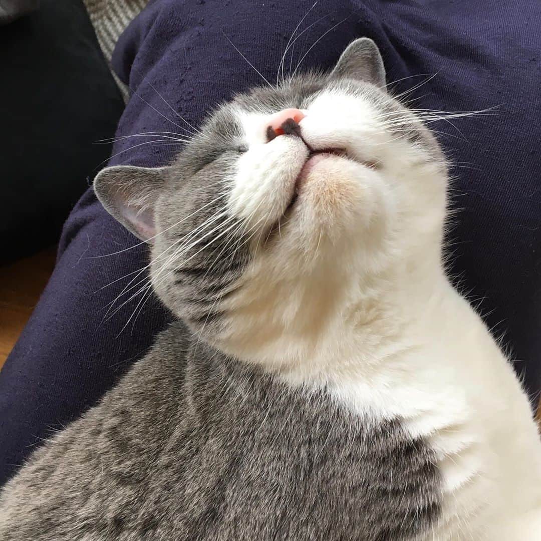 カブのインスタグラム：「😊」