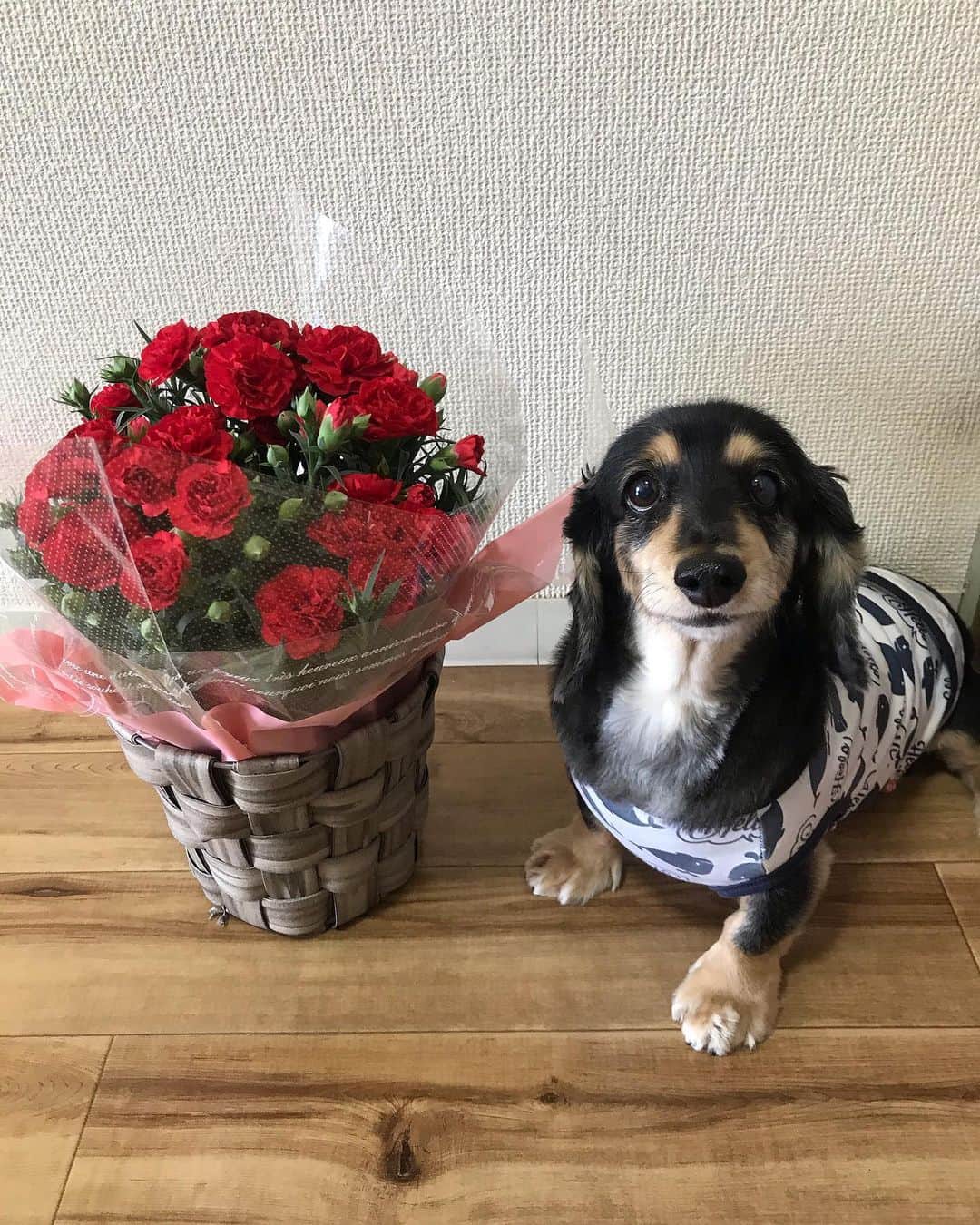 K-YOのインスタグラム：「🥀」
