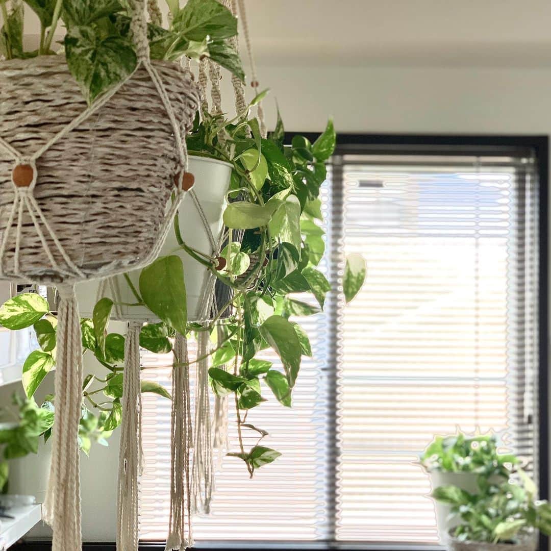 ホテルパシフィック金沢のグルメインスタ