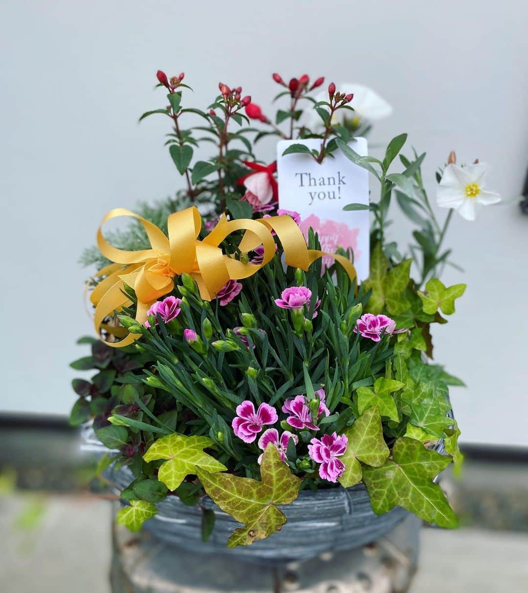 MILLE ECLAT.のグルメインスタ