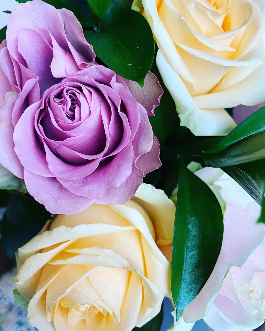 橋本麗香のインスタグラム：「全てのお母様へ🌹 母の日おめでとうございます。 ． 自分が親になって改めて より母へ感謝の念が湧いてきました。 全てのお母様への尊敬も感じられる様に なりました🥰🙏🏻 皆様おめでとうございます❤️❤️❤️」