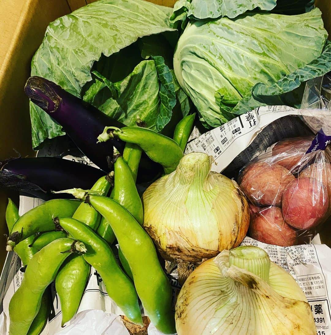 濱口優さんのインスタグラム写真 - (濱口優Instagram)「#番組でお世話になった農家さん #段ボールいっぱいの野菜を送ってくれました #野菜はもちろん優しさに感謝です」5月10日 13時09分 - hamaguchi_masaru