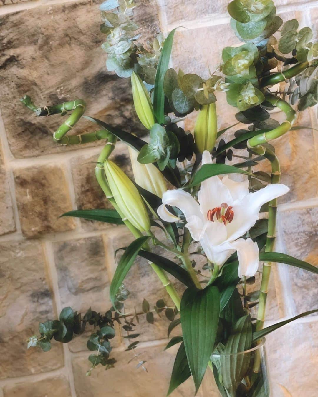 仲間リサさんのインスタグラム写真 - (仲間リサInstagram)「Mother's Day🌱🍃🌿💚﻿ 母の日っぽくはないけど、母がユーカリ好き＆グリーンでまとめたお花が好きなのと﻿ スパイラルバンブーが可愛いなぁと思って、今年はこんな雰囲気の花束に💐﻿ ﻿ いつもありがとう✨✨﻿ Thank you for your generous mind and your deep love. ﻿ ﻿ #mothersday」5月10日 14時02分 - lisa_nakama_