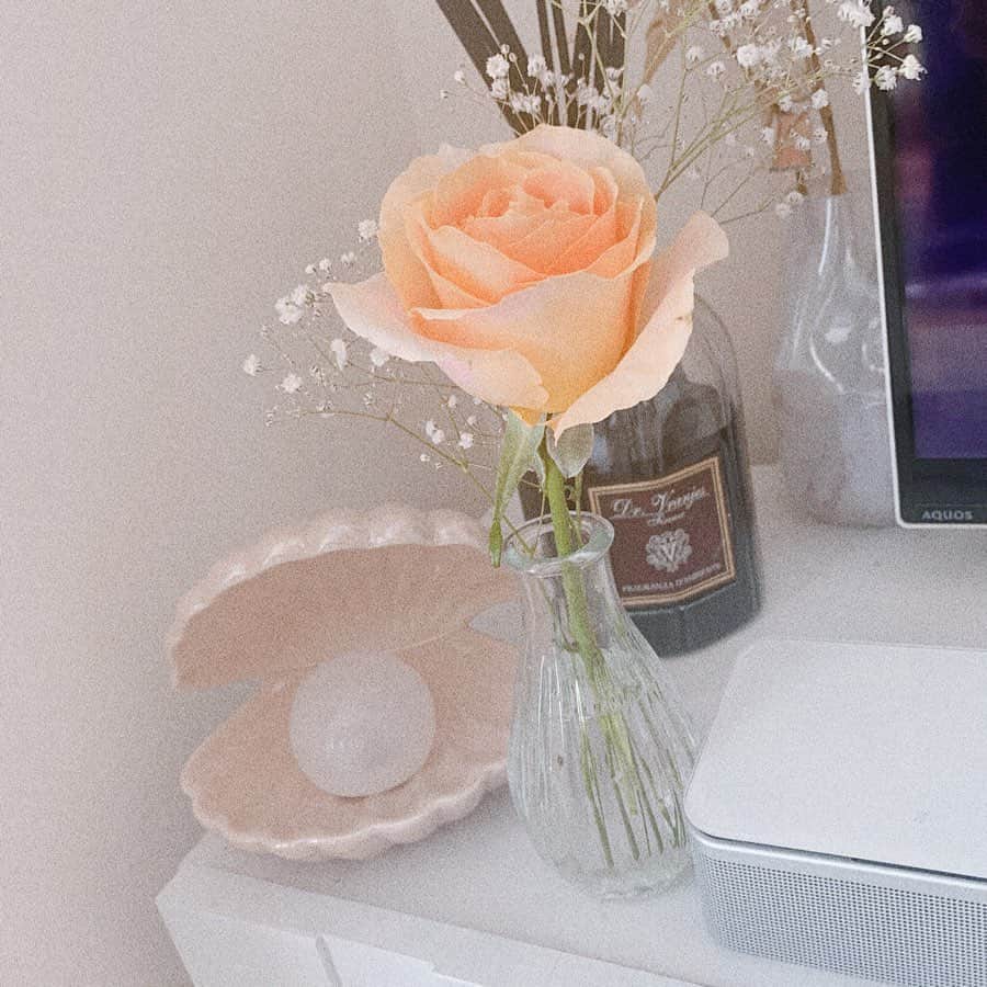 吉田菫さんのインスタグラム写真 - (吉田菫Instagram)「Life with flowers at any time♡ . 母の日🤱 私は実家に郵送したのと自分のおうちにはレインボーのカーネーションを飾った🌈♥️ . #母の日　#mothersday  #flower」5月10日 14時45分 - sumiredooon1228