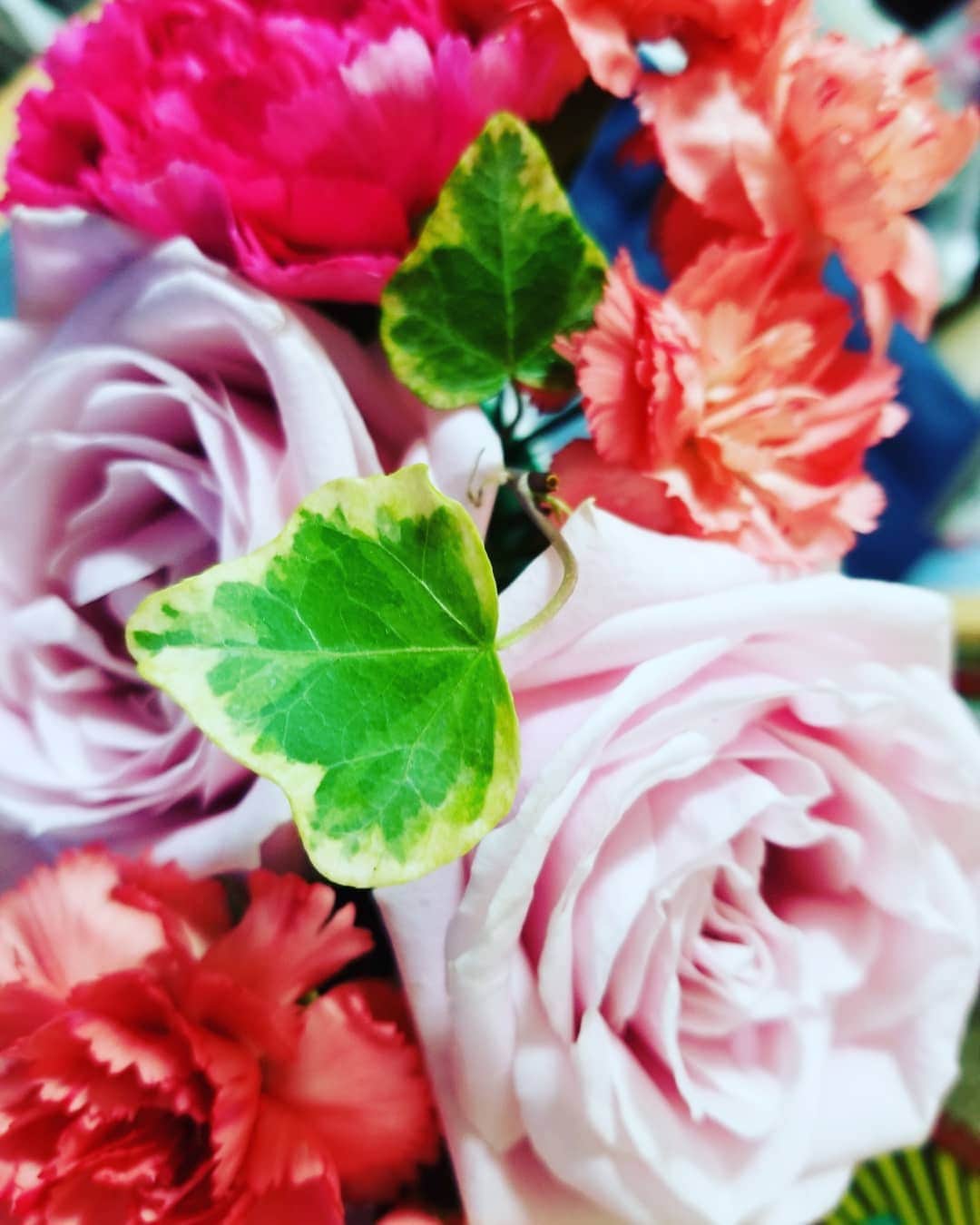谷口キヨコさんのインスタグラム写真 - (谷口キヨコInstagram)「母の日〰️♥️こんな小さい花でも喜んでくれた…ありがとう😄お母さんてほんまにすごいなぁ。すべてのお母さんに💐#谷口キヨコ #母の日 #花束 #京都」5月10日 14時54分 - kiyokotaniguchi