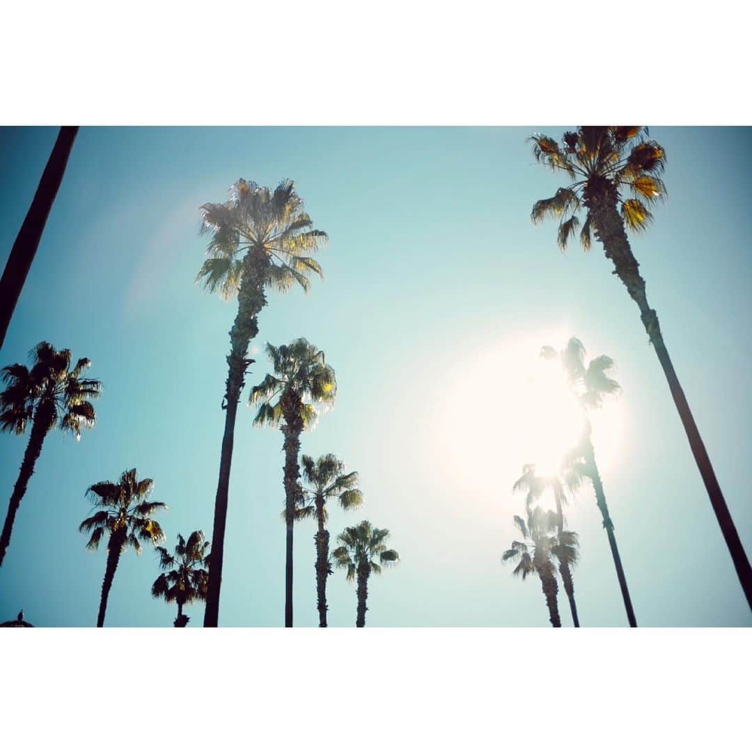 UZさんのインスタグラム写真 - (UZInstagram)「Good morning😆  #losangeles #palmtrees」4月26日 6時34分 - uzspyair