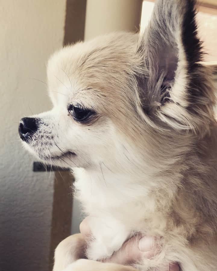 橋本塁のインスタグラム