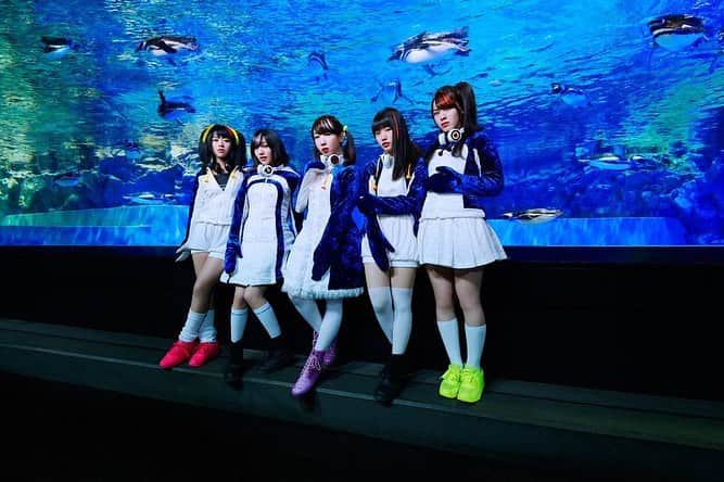 相羽あいなのインスタグラム：「今日は #世界ペンギンの日 また必ず会いにいくぜ🐧‼️」