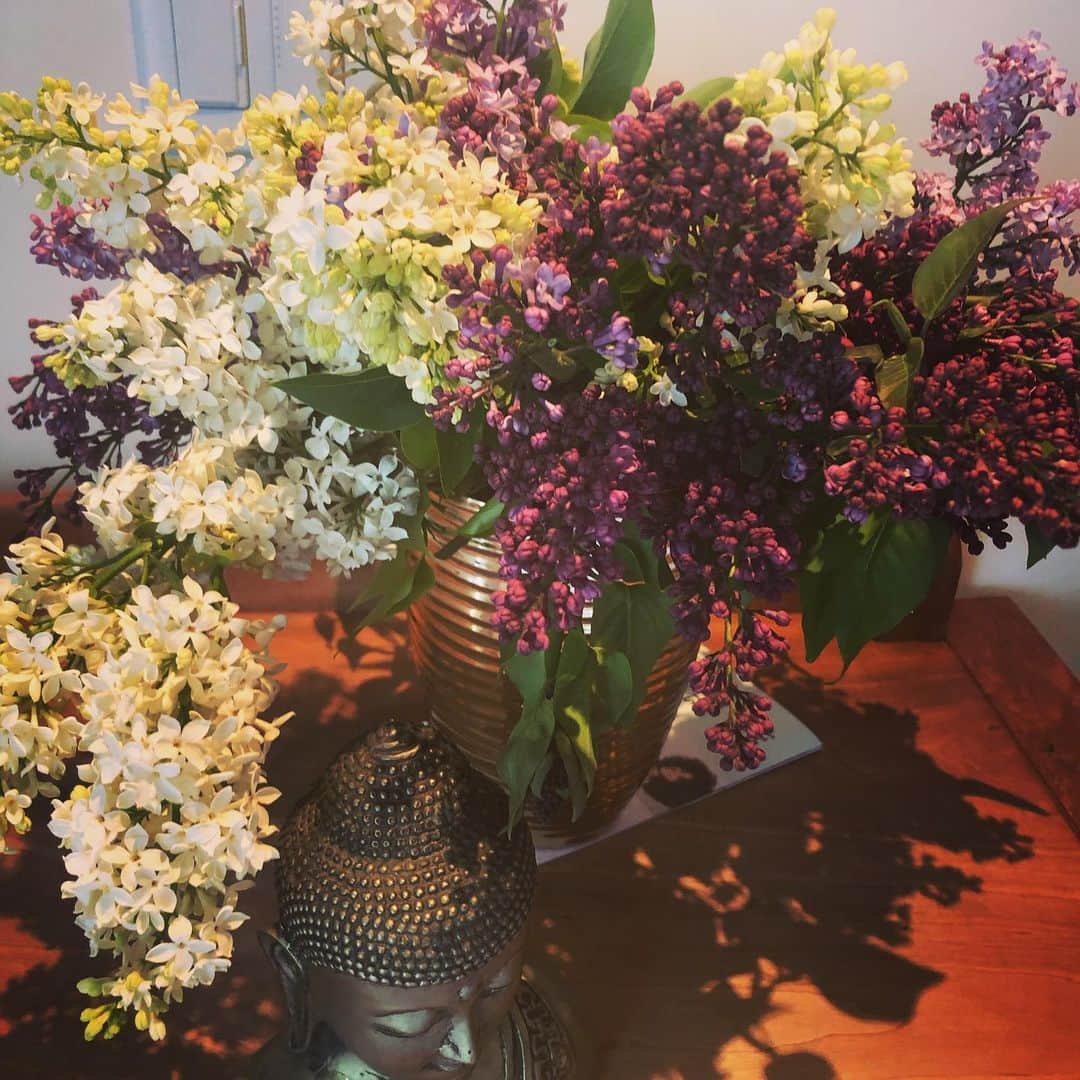 メアリー・マクドネルのインスタグラム：「To my Sheros. my beloved sister in law , @wendy.l.baker.92 and her heroic and phenomenal staff and colleagues and patients at Woonsocket Health and Rehabilitation Center and @jscurrier Division Chief @UCLA InfectiousDiseases and all her brilliant and brave colleagues and patients . We send you energy love and prayers towards the  resilience and fortitude this moment is taking. we love you and we hold you in our spirits from all over the world.」