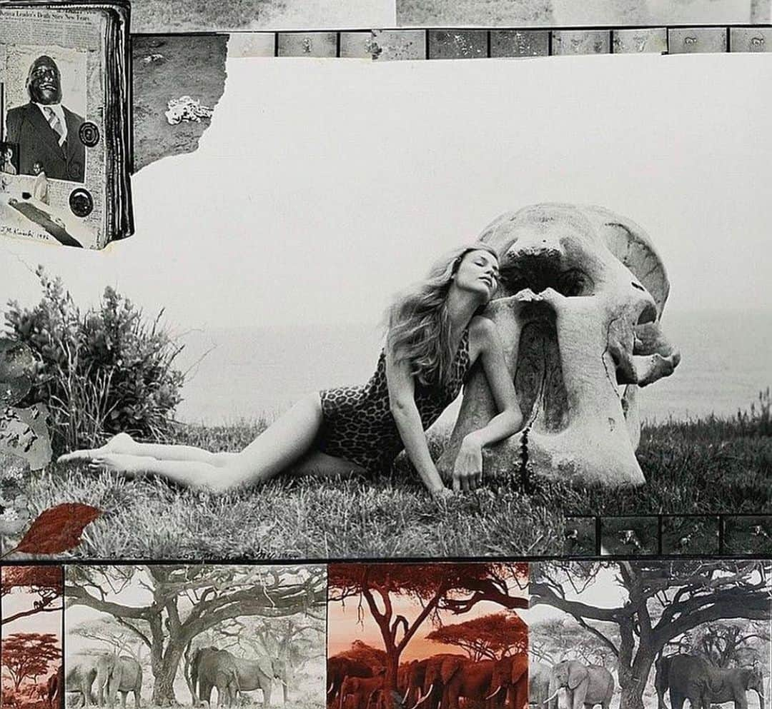 ジョージア・メイ・ジャガーさんのインスタグラム写真 - (ジョージア・メイ・ジャガーInstagram)「Peter Beard 💔」4月26日 2時49分 - georgiamayjagger