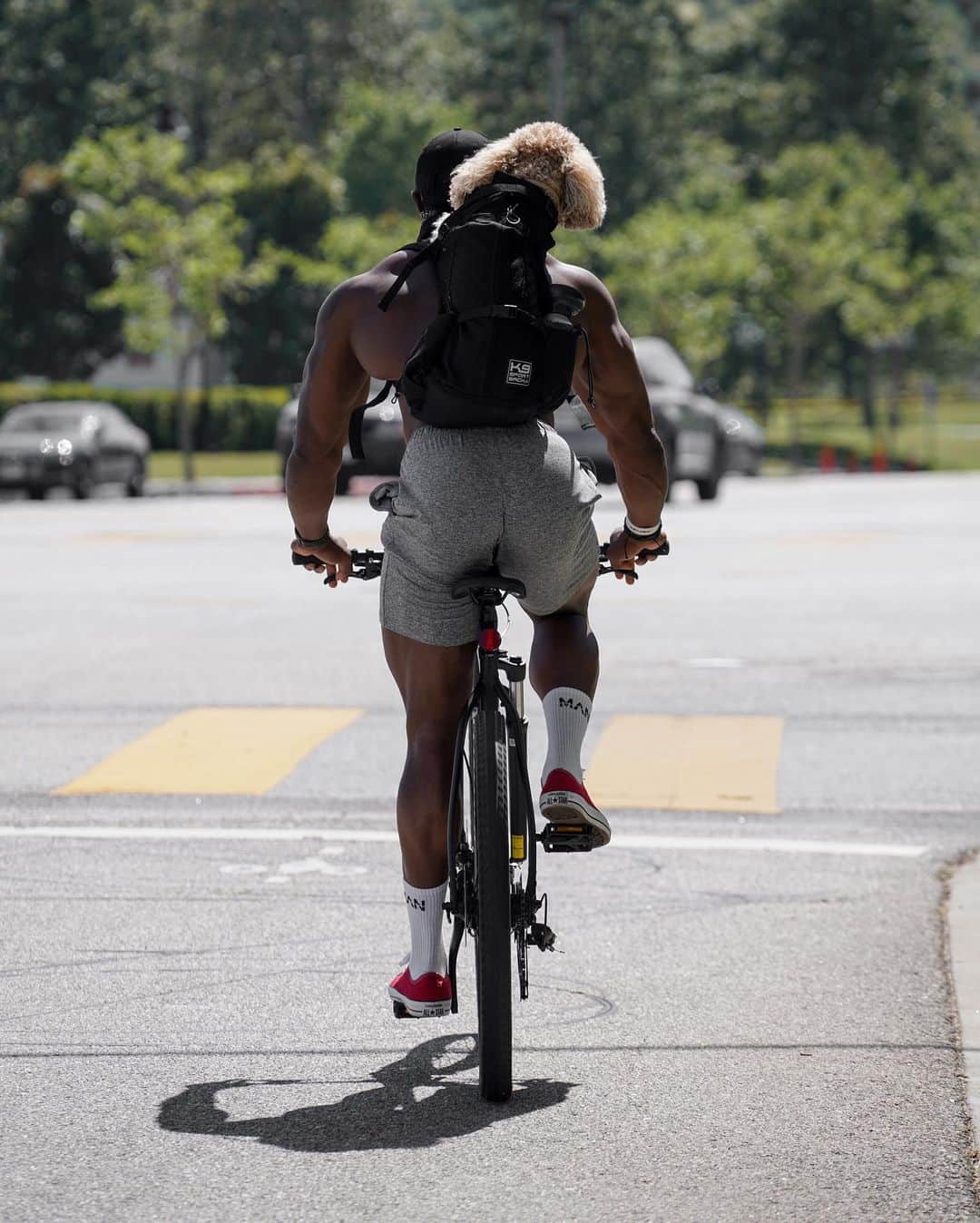 Simeon Pandaさんのインスタグラム写真 - (Simeon PandaInstagram)「Today’s cardio 🚲 🐶 with @mrcodybear  what’s your favourite cardio?⁣ ⁣ Took @innosupps Volcarn & Innoshred beforehand to turn up the heat 🔥😅⁣ Stock up at INNOSUPPS.COM ⁣ ⁣ 🔥You can download my Fat Burn Extreme Training Guide at SIMEONPANDA.COM⁣⁣ ⁣⁣⁣⁣⁣ 👉 Be sure to SUBSCRIBE to my YouTube channel: YouTube.com/simeonpanda 👈⁣⁣⁣⁣⁣ Many more 🏠 home workouts all FREE at Youtube.com/simeonpanda ⁣⁣⁣⁣⁣ ⁣⁣⁣⁣」4月26日 15時48分 - simeonpanda