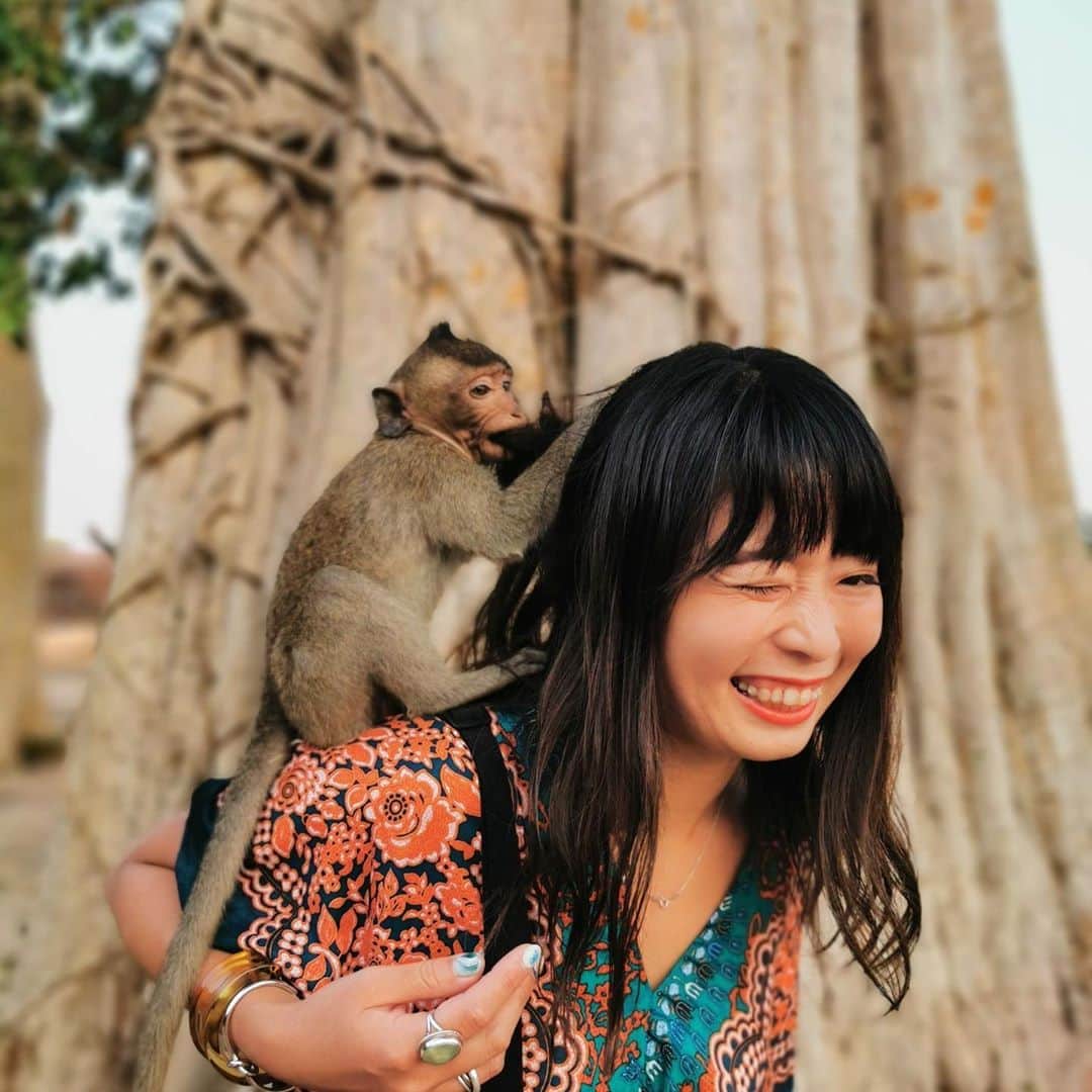 t_ppyのインスタグラム：「アンコールワットの朝日を見た帰りにホテルに戻る途中の木から突然降りてきたBaby monkey達🍬  野生動物とセルフィーするのが趣味の私としては２枚目とか最高の瞬間♥️ 途中は3匹くらいスカートの中にもいて至福の時間。笑  動物苦手な人、怖い人はお水のペットボトルとか、シェイクとかとにかくなんでも奪い取られるので要注意！  特にアンコールワットのは暑すぎてお水が欲しい猿が多いのでマイボトルとかも容赦なく持っていかれちゃうので手に持って歩いてると突然猿に奪われちゃうのでバックに必ず入れましょう✰✯ ガイドさん曰くとにかく猿達は真水が手に入らないから観光客のペットボトルを狙ってるそう。 彼らはキャップもしっかり開けれます。笑  私は手ぶらだったのでとにかく髪の毛で遊ばれただけだけど、食べ物飲み物を持ってると襲われたりする可能性もあるのでご注意を❣️」