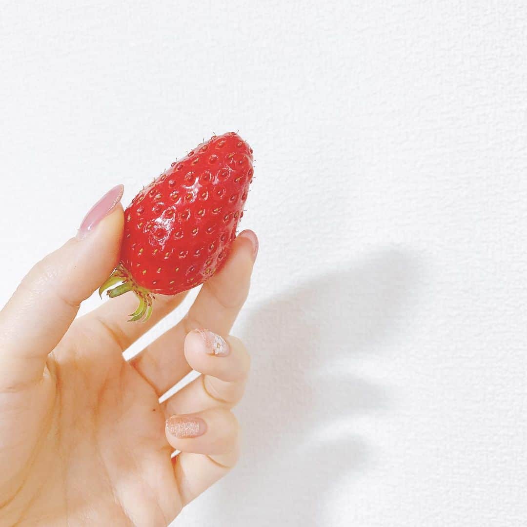 みき みーやんさんのインスタグラム写真 - (みき みーやんInstagram)「朝いちご🍓♡ . . #strawberry#いちご#🍓」4月26日 8時34分 - mi_yan0101