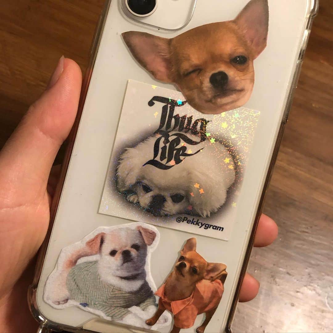 長澤メイのインスタグラム