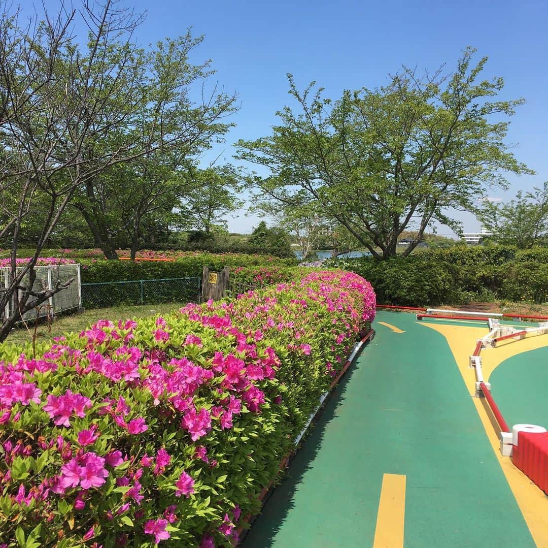 こどもの国キッズダムのグルメインスタ