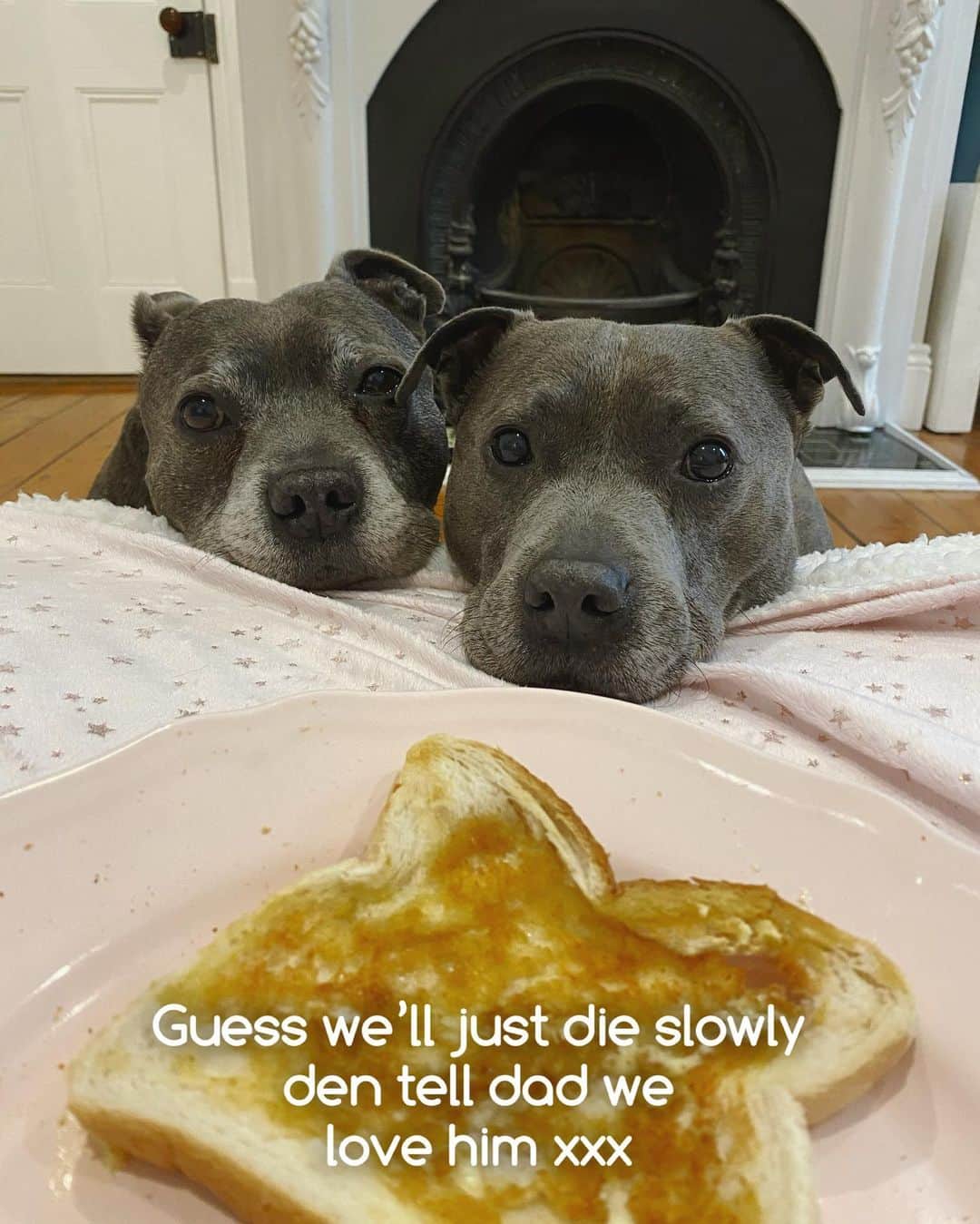 DARREN&PHILLIPさんのインスタグラム写真 - (DARREN&PHILLIPInstagram)「Not being dramatic or any fing but like today is de worst day of our lives and it’s only 11am somebody pls dial animal services and somebody else please dial dominos it’s a matter of urgency」4月26日 10時33分 - the_blueboys
