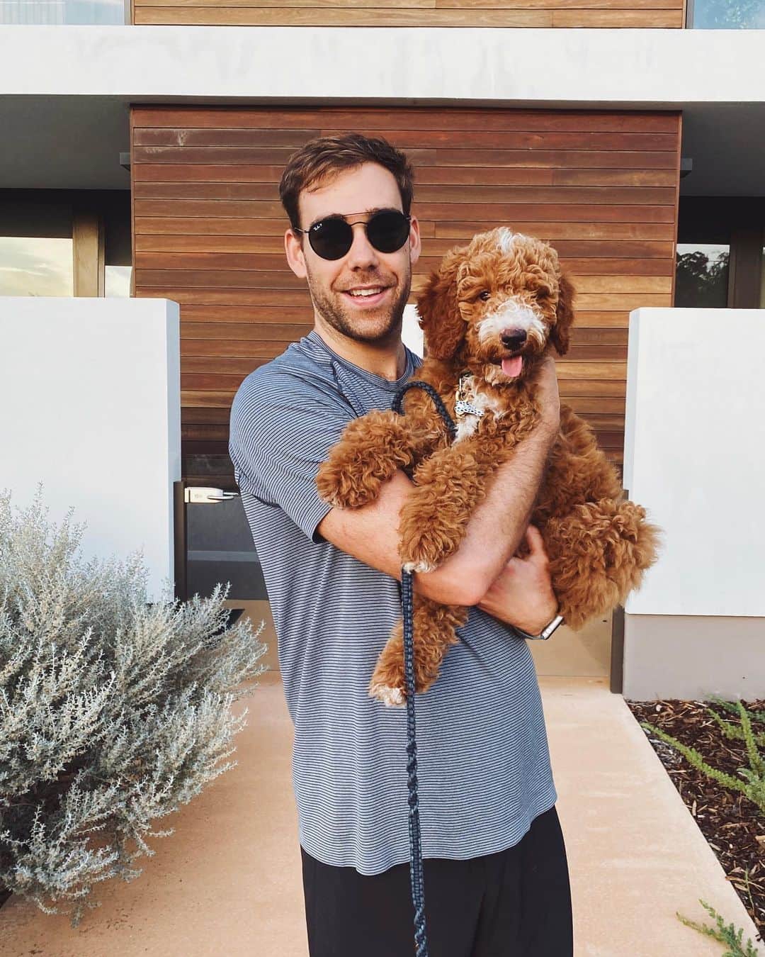 グラント・アーヴァインのインスタグラム：「Obi, you’re probably not going to be the best lap dog. #13weeks #krakajaklabradoodle」