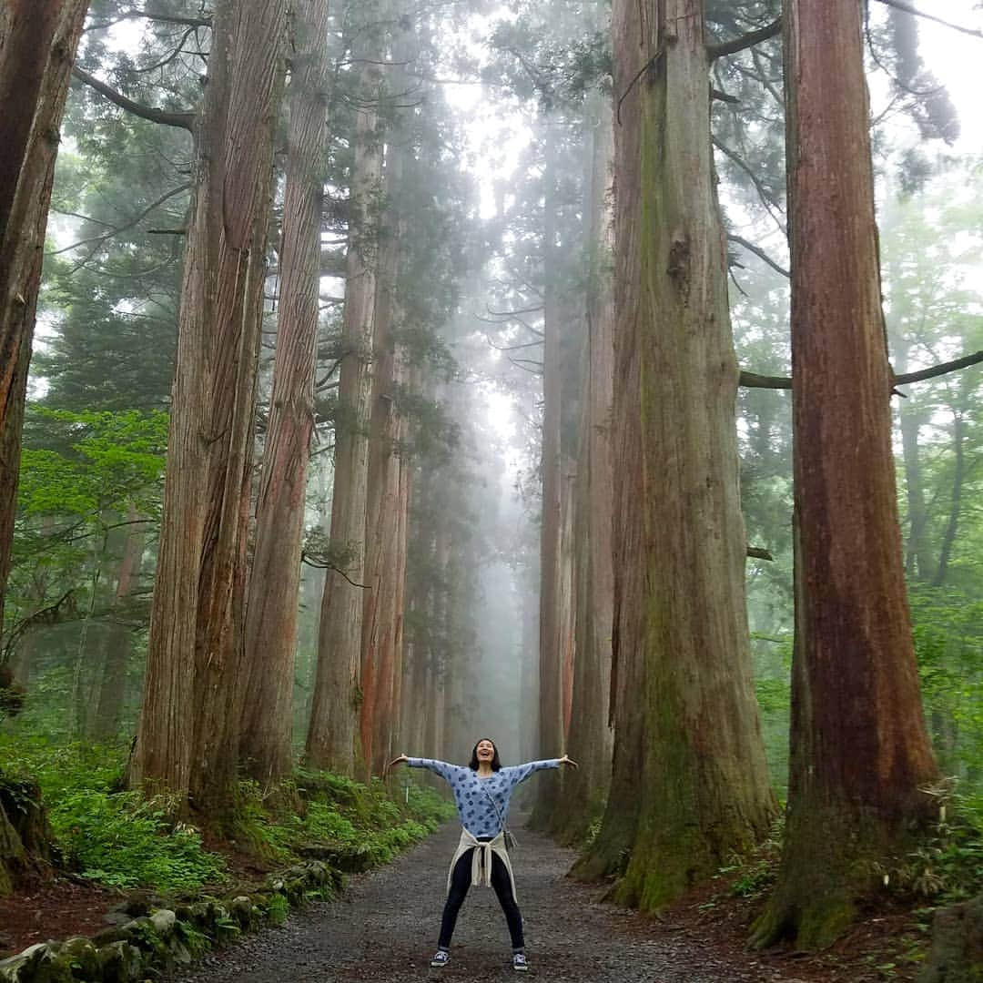 高山侑子さんのインスタグラム写真 - (高山侑子Instagram)「. 出かけられないので、アルバムを見返して思い出に浸る😇  これは2016年に、長野県の戸隠神社に行った時の⛩ 神秘的な場所だったなぁ✨  #戸隠神社 #侑子memories」4月26日 11時26分 - takayamayuko_stardust