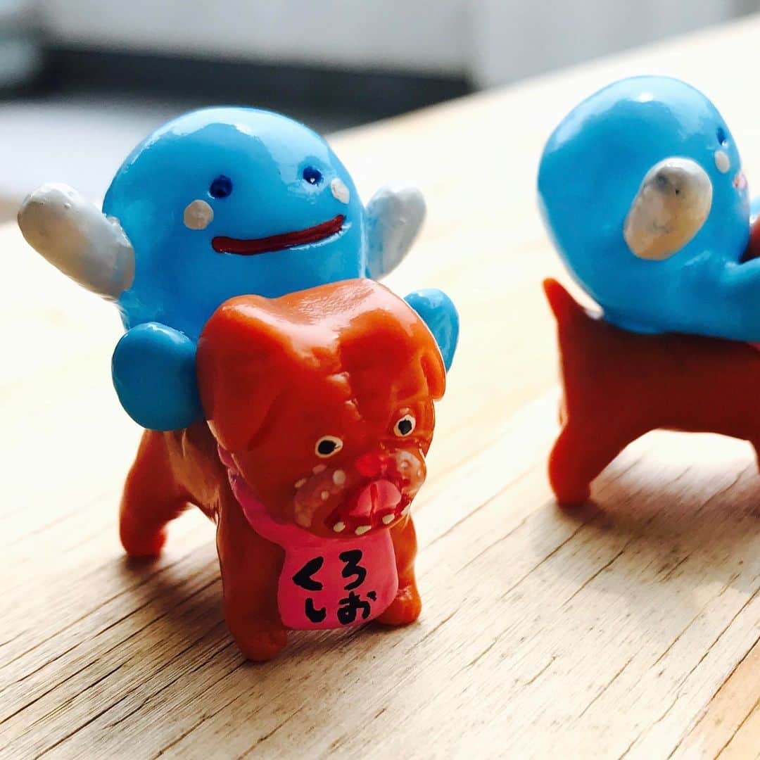 デハラユキノリのインスタグラム：「くろしおくんの散歩 サンプル塗れた。 発売開始は5月中旬辺りかな #くろしおくん  #とさ犬太 #deharayukinori  #デハラユキノリ」