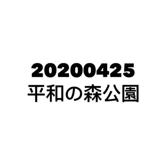 ひらのっちのインスタグラム：「トイプー・ラテちゃんらとお散歩公園ドッグラン🐕‍🦺🏃‍♂️ #お散歩 #ドッグラン #公園 #休日 #トイプードル #チワワ」