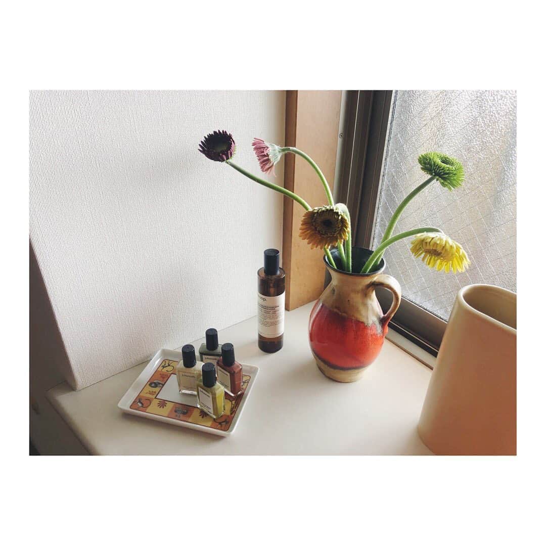 野尻美穂のインスタグラム：「うちにもやっと癒しのお花🌼 生花があるだけで気分がこんなに変わるなんて今までにない🥺💛 鉢くん送ってくれてありがとうー☺️ #stayhome  #おうち時間」