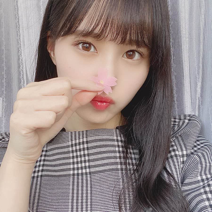 前田彩佳さんのインスタグラム写真 - (前田彩佳Instagram)「桜🌸﻿ ﻿ ＊＊＊＊＊＊＊＊＊＊﻿ ﻿ #桜 #自然光  #せるふぃー」4月26日 13時01分 - _ayaka1218