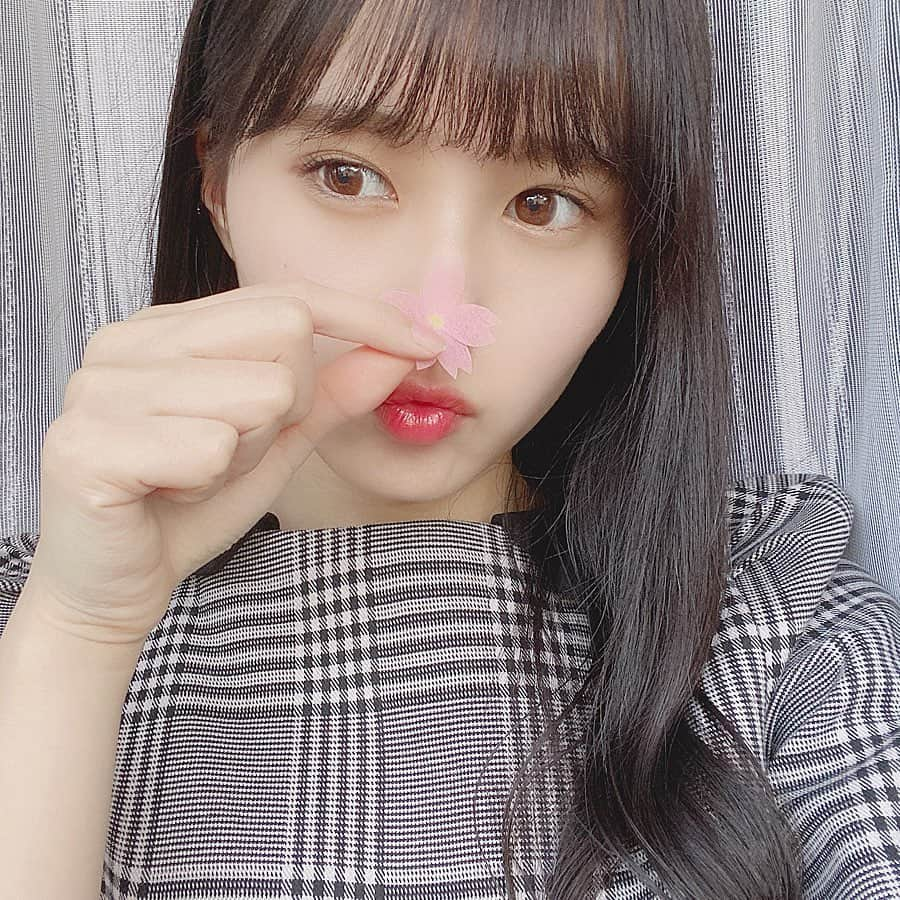 前田彩佳さんのインスタグラム写真 - (前田彩佳Instagram)「桜🌸﻿ ﻿ ＊＊＊＊＊＊＊＊＊＊﻿ ﻿ #桜 #自然光  #せるふぃー」4月26日 13時01分 - _ayaka1218