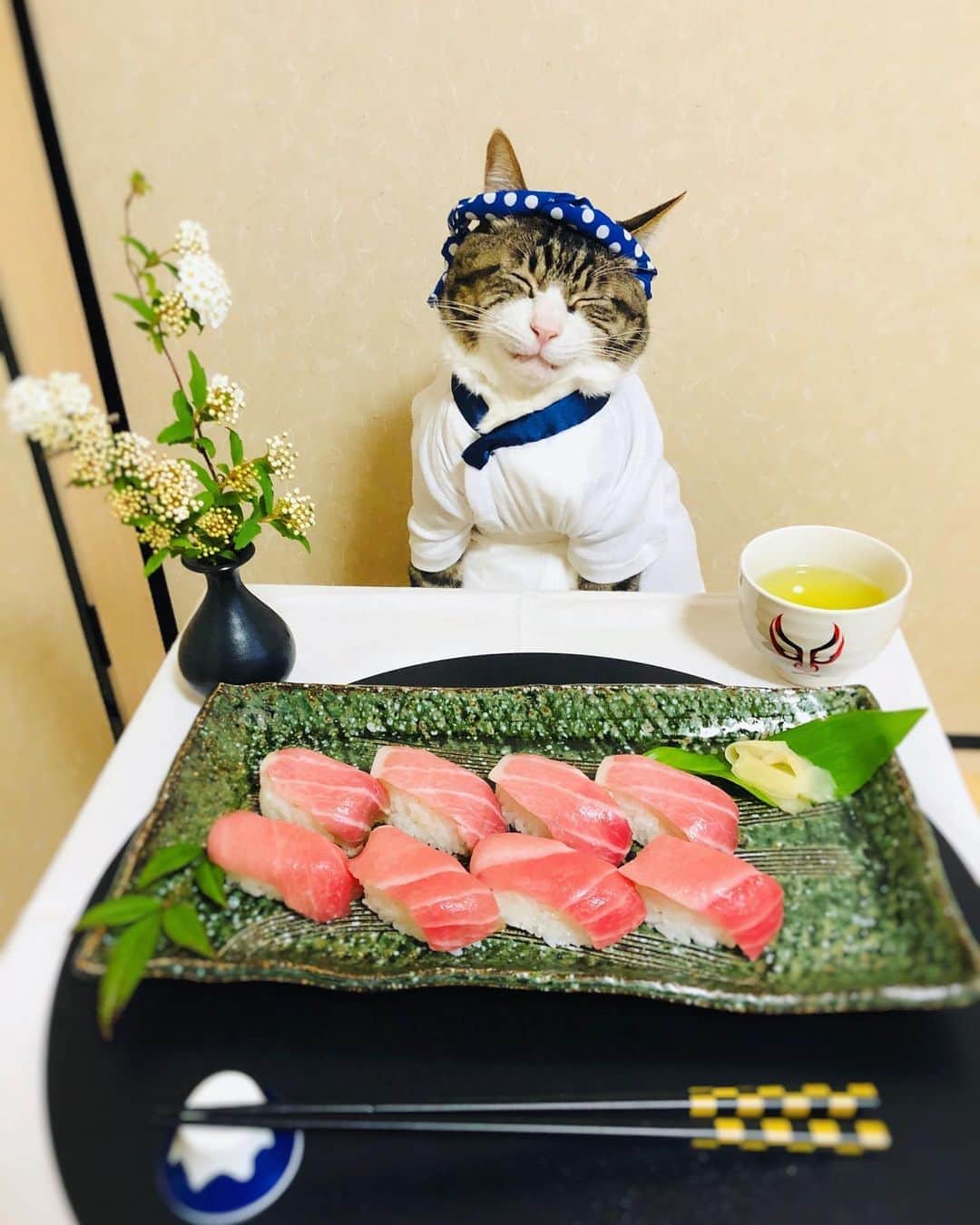 マロさんのインスタグラム写真 - (マロInstagram)「🍣おうちでお寿司屋さん🍣 Sushi restaurant at home ☆ いつもコメントありがとうございます😺🙏💕 返信出来なくてすみません🙇‍♀️ 全て拝見しています🐾 ☆ Thank you for your kind comments😺🙏💕 I'm sorry that I couldn't reply. ☆ #cat#cats#catsofinstagram#😻 #japanesefood#japanculture  #sushi#chef#stayhome#staysafe #にゃんすたぐらむ#ねこ#猫#ネコ #ねこ部#おうちごはん#おうち時間  #お寿司屋さん#寿司#板さん #猫のいる暮らし#斉藤和義」4月26日 13時12分 - rinne172