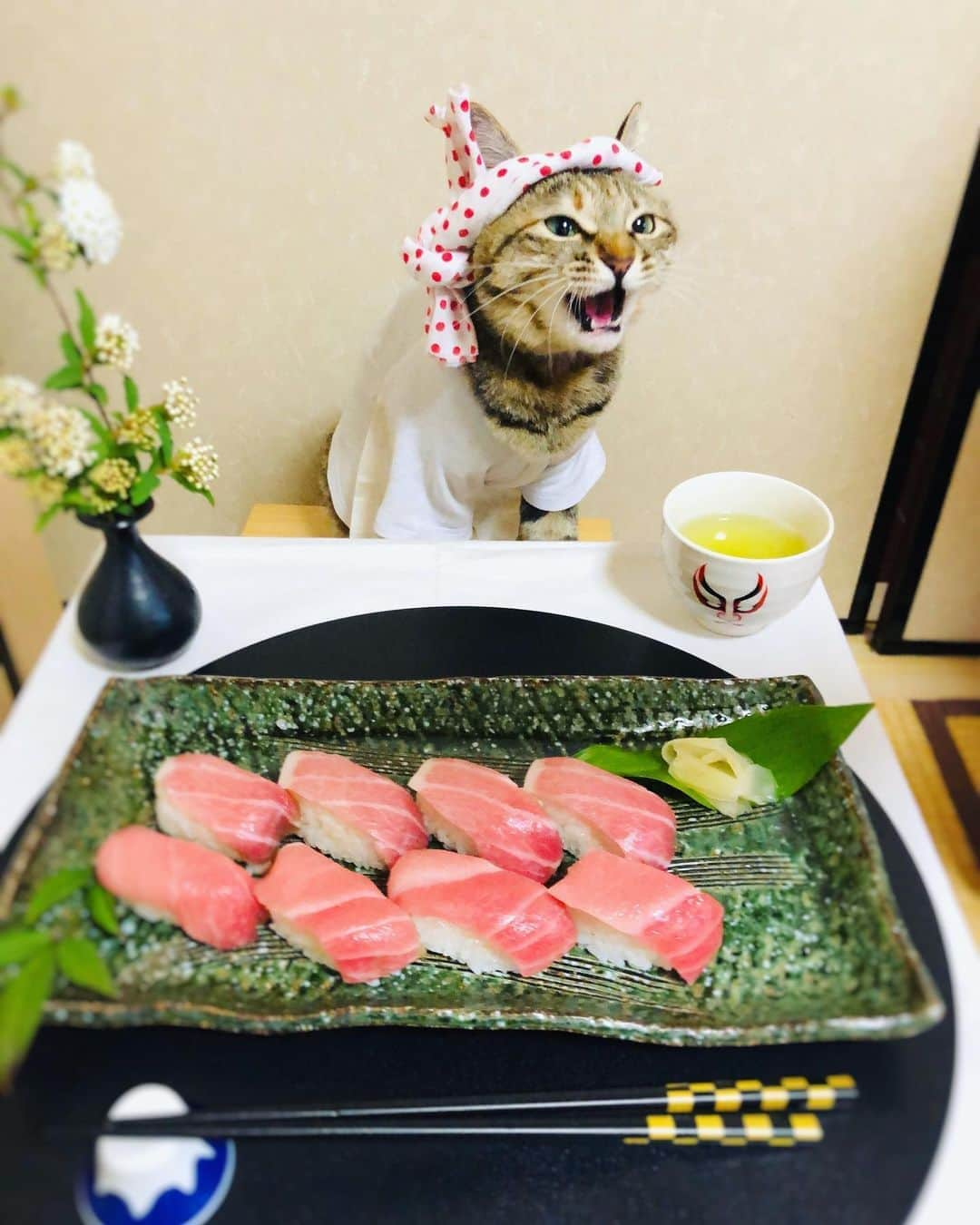 マロさんのインスタグラム写真 - (マロInstagram)「🍣おうちでお寿司屋さん🍣 Sushi restaurant at home ☆ いつもコメントありがとうございます😺🙏💕 返信出来なくてすみません🙇‍♀️ 全て拝見しています🐾 ☆ Thank you for your kind comments😺🙏💕 I'm sorry that I couldn't reply. ☆ #cat#cats#catsofinstagram#😻 #japanesefood#japanculture  #sushi#chef#stayhome#staysafe #にゃんすたぐらむ#ねこ#猫#ネコ #ねこ部#おうちごはん#おうち時間  #お寿司屋さん#寿司#板さん #猫のいる暮らし#斉藤和義」4月26日 13時12分 - rinne172