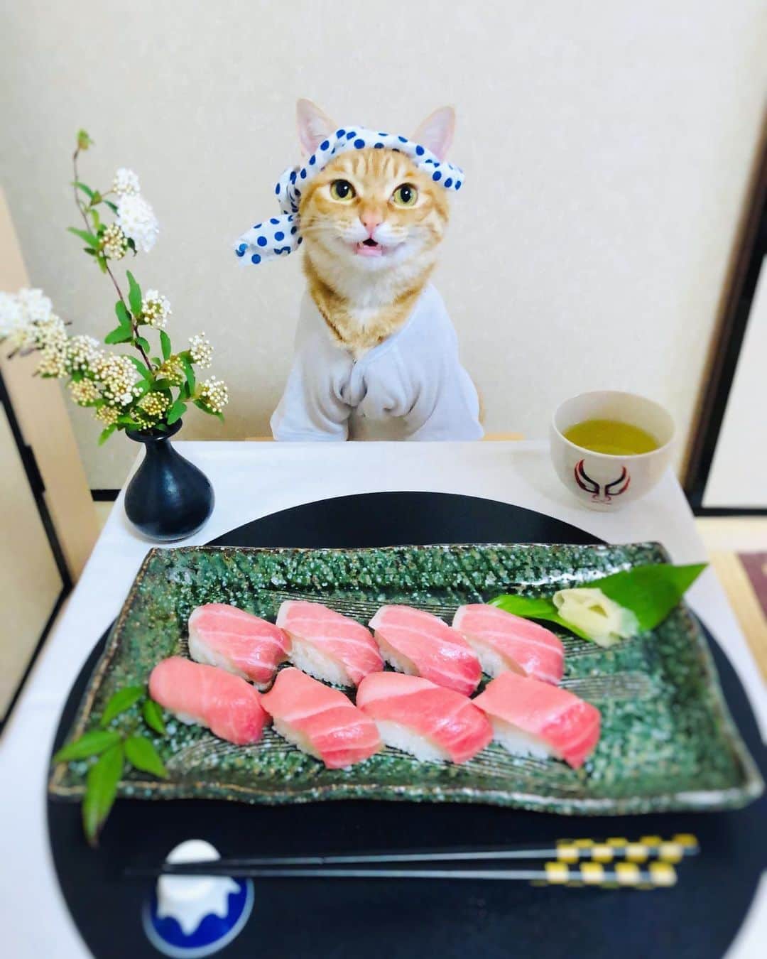 マロさんのインスタグラム写真 - (マロInstagram)「🍣おうちでお寿司屋さん🍣 Sushi restaurant at home ☆ いつもコメントありがとうございます😺🙏💕 返信出来なくてすみません🙇‍♀️ 全て拝見しています🐾 ☆ Thank you for your kind comments😺🙏💕 I'm sorry that I couldn't reply. ☆ #cat#cats#catsofinstagram#😻 #japanesefood#japanculture  #sushi#chef#stayhome#staysafe #にゃんすたぐらむ#ねこ#猫#ネコ #ねこ部#おうちごはん#おうち時間  #お寿司屋さん#寿司#板さん #猫のいる暮らし#斉藤和義」4月26日 13時12分 - rinne172