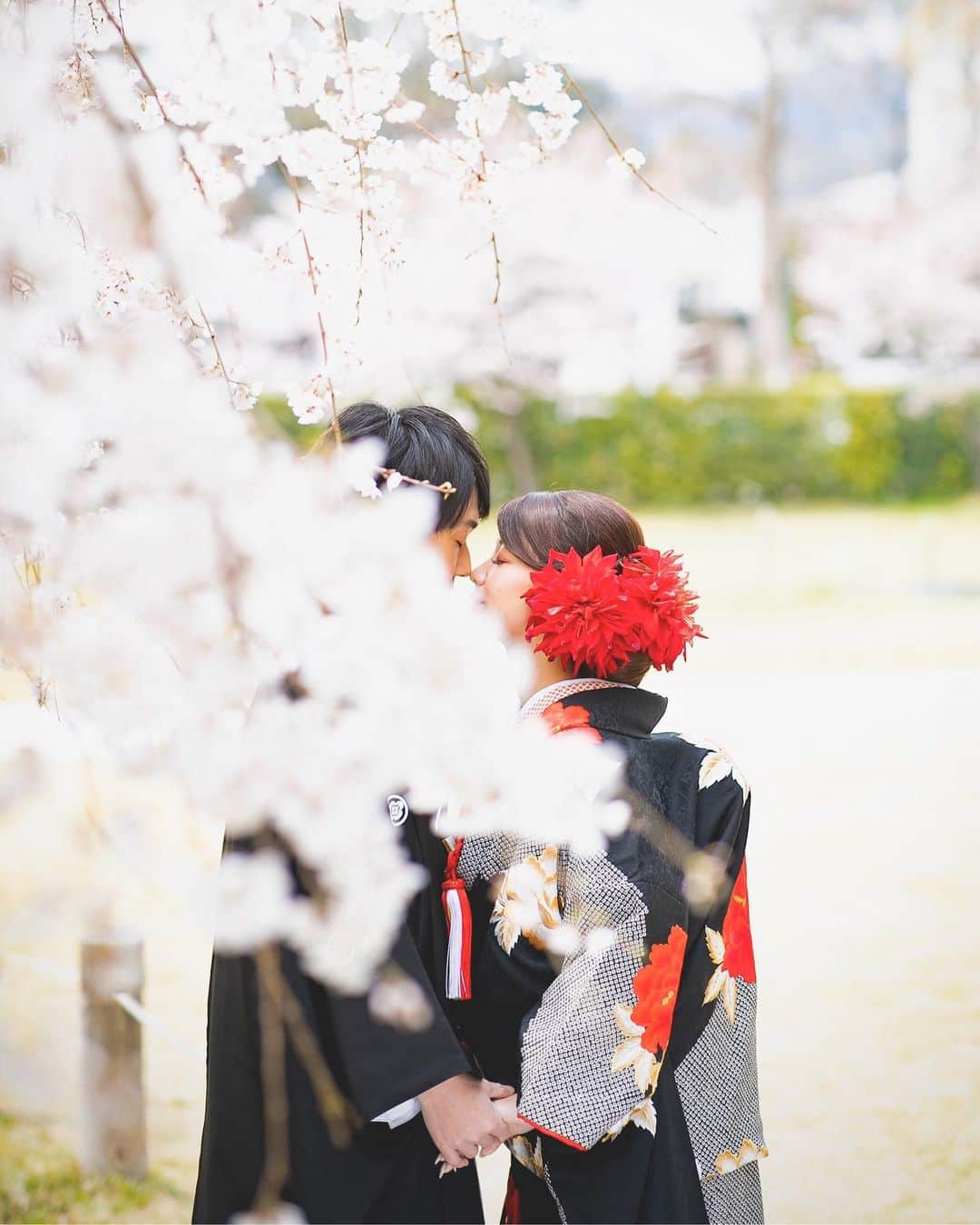 野田あず沙さんのインスタグラム写真 - (野田あず沙Instagram)「sakura🌸﻿ ﻿ ﻿ ﻿ ﻿ 来年は﻿皆と桜をみれますように。﻿ ﻿ ﻿ ﻿ ﻿ ﻿ ﻿ ﻿ #前撮り #和装前撮り #結婚式前撮り #プレ花嫁 #和装 #打掛 #黒打掛 #色打掛 #ダリア #着物 #京都 #春挙式 #花嫁 #花嫁美容 #和装ヘアアレンジ #和装前撮りアイテム #和装婚 #和装婚アイテム #結婚式 #ブライダルフォト#バチェラー #bridal #wedding #japan #kyoto #ウエディングニュース #結婚式準備 #ゼクシィ2020 #桜 #cherryblossom」4月26日 13時52分 - azuazu0429