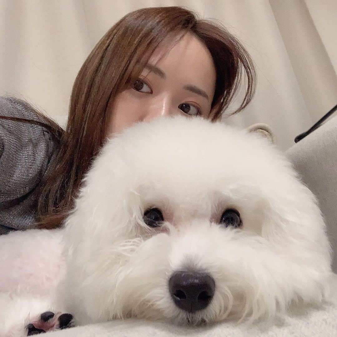 ハナマサのインスタグラム：「だいふく。  #hanamasagram #ハナマサグラム　#はなまさ」