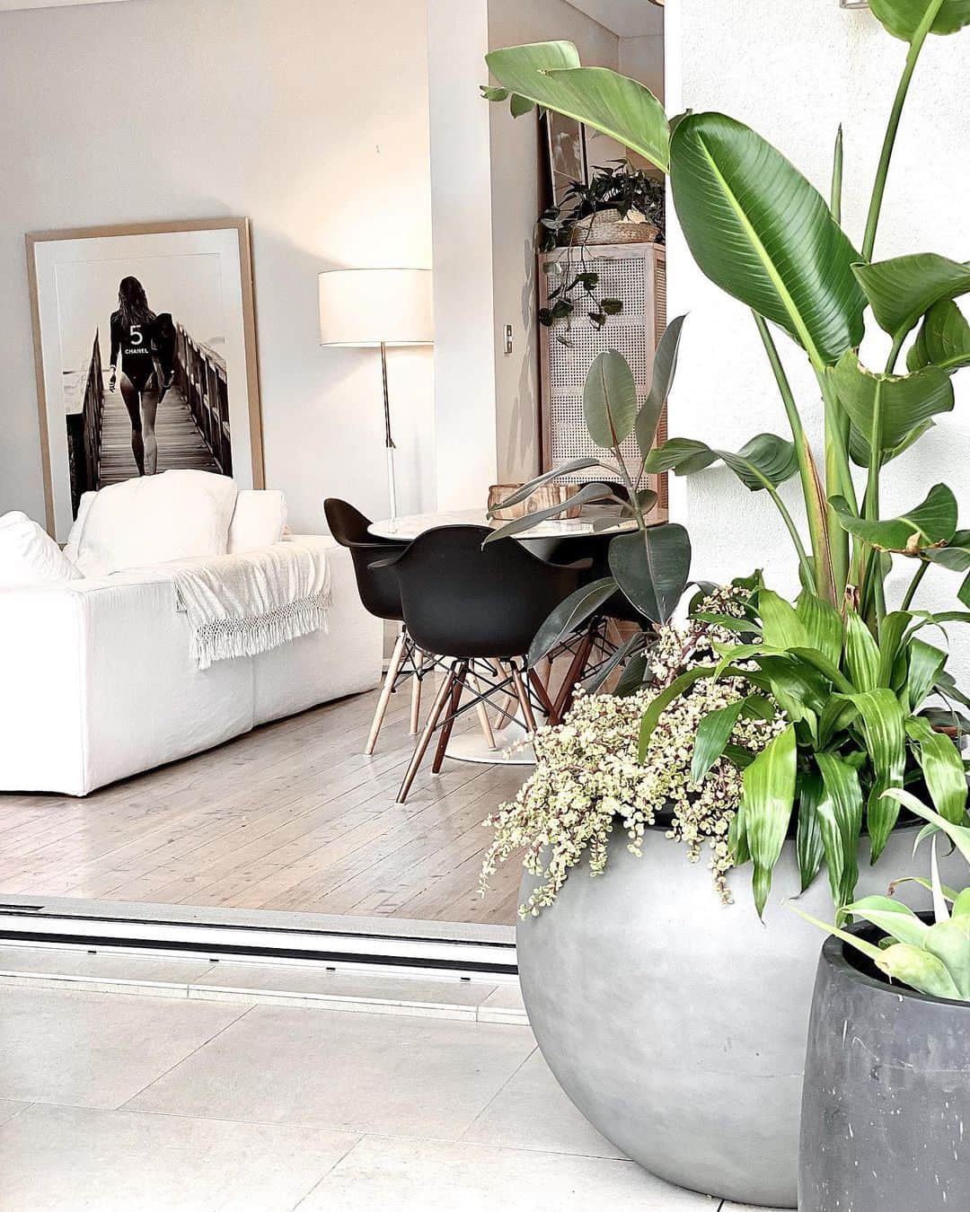 サマンサウィルスのインスタグラム：「I’ve always loved oversized pots both for outdoors and interiors. These beauties are by @thebalconygarden 🍃⠀⠀ ⠀⠀ __⠀⠀ ⠀⠀ 🌱I’ve got five different plants in the extra large planter. ⠀ ⠀ 🌱To get this potted jungle vibe (image 2) (I hope you’re reading this in a Better Homes and Gardens voice-over voice) my best oversized planter tip is to not plant IN the pot, but fill it with individual potted plants. ⠀ ⠀ 🌱That way you can switch them out easily (and it’s also a sh*tload easier to move!). ⠀⠀ ⠀⠀ 🌱Create layered heights of the plants by putting different sized pots turned upside down under each plant.⠀⠀ ⠀⠀ ⠀ That’s all my gardening tips for today, actually that’s everything I know about gardening, period. So I’ll leaf it at that. ⠀ ⠀ Hope everyone has had a lovely weekend. With much love. x ⠀ ⠀⠀」
