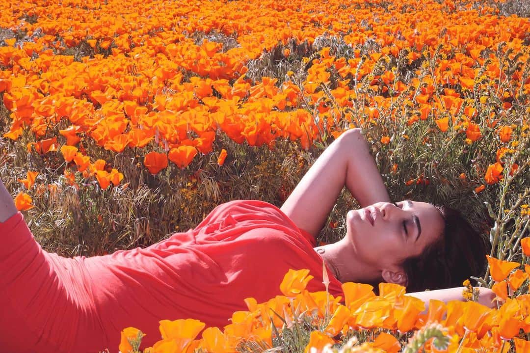 ドナ・フェルドマンのインスタグラム：「Where flowers bloom, so does hope. .  #thismademyday #freshair #poppyfields #spring」
