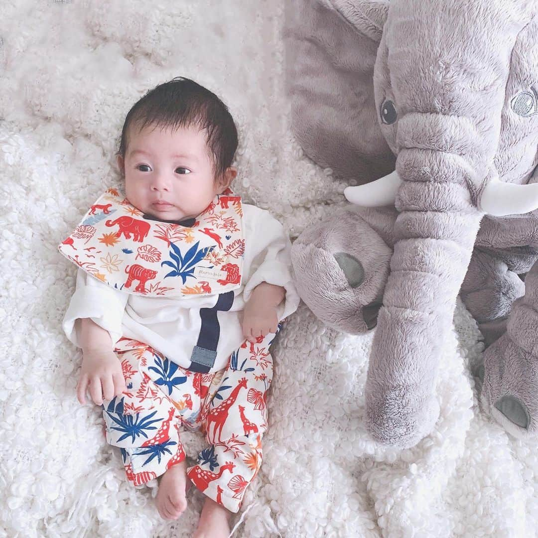 Moe.Mさんのインスタグラム写真 - (Moe.MInstagram)「. . . どんどん成長するBaby❤️ . オーダーのお洋服まだ 大きいけど、かわいっ❤️ . . . @haruulala_organic  #haruulala #出産祝い #オーガニックコットン#第一子 #マタニティ記録 #ママファッションプチプラ #マタニティ #ootd #ootdfashion #fashion #妊婦コーデ #妊婦生活 #ママ #産後ダイエット #ママファッション #産後 #プチプラ #プチプラコーデ #ママコーデプチプラ #ママコーデ #maternityfashion #シンプルコーデ #お洒落 #今日のコーデ #今日の服 #令和ベビー #マタニティライフ #マタニティコーデ #マタニティフォト #ダイエット」4月26日 17時34分 - m0304m