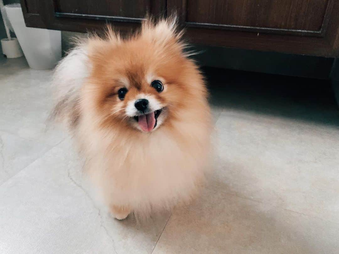 r_oseのインスタグラム：「Sweetest smile 🐻〰️」