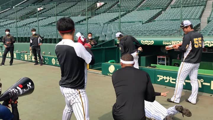 阪神タイガースのインスタグラム