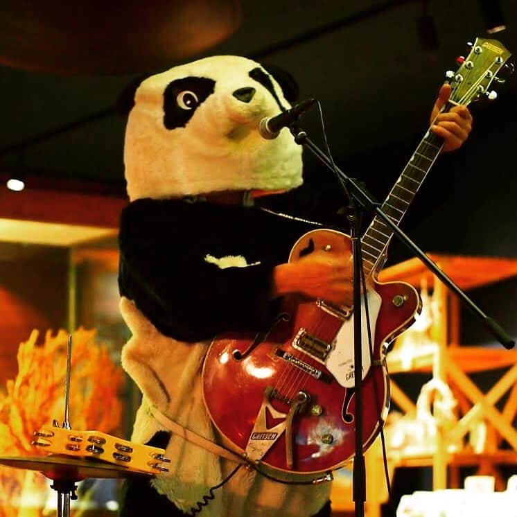山川のりをのインスタグラム：「ごっつぁんです！4月29日20日からツイキャスプレミアムでギターパンダのライブです。あと、3日ですな。このインスタのプロフィール欄にツイキャスの入り口があります。初めて配信ライブするので失敗する夢や妄想に苛まれる最近です。全国の方々会いにきてアイニージュー。」