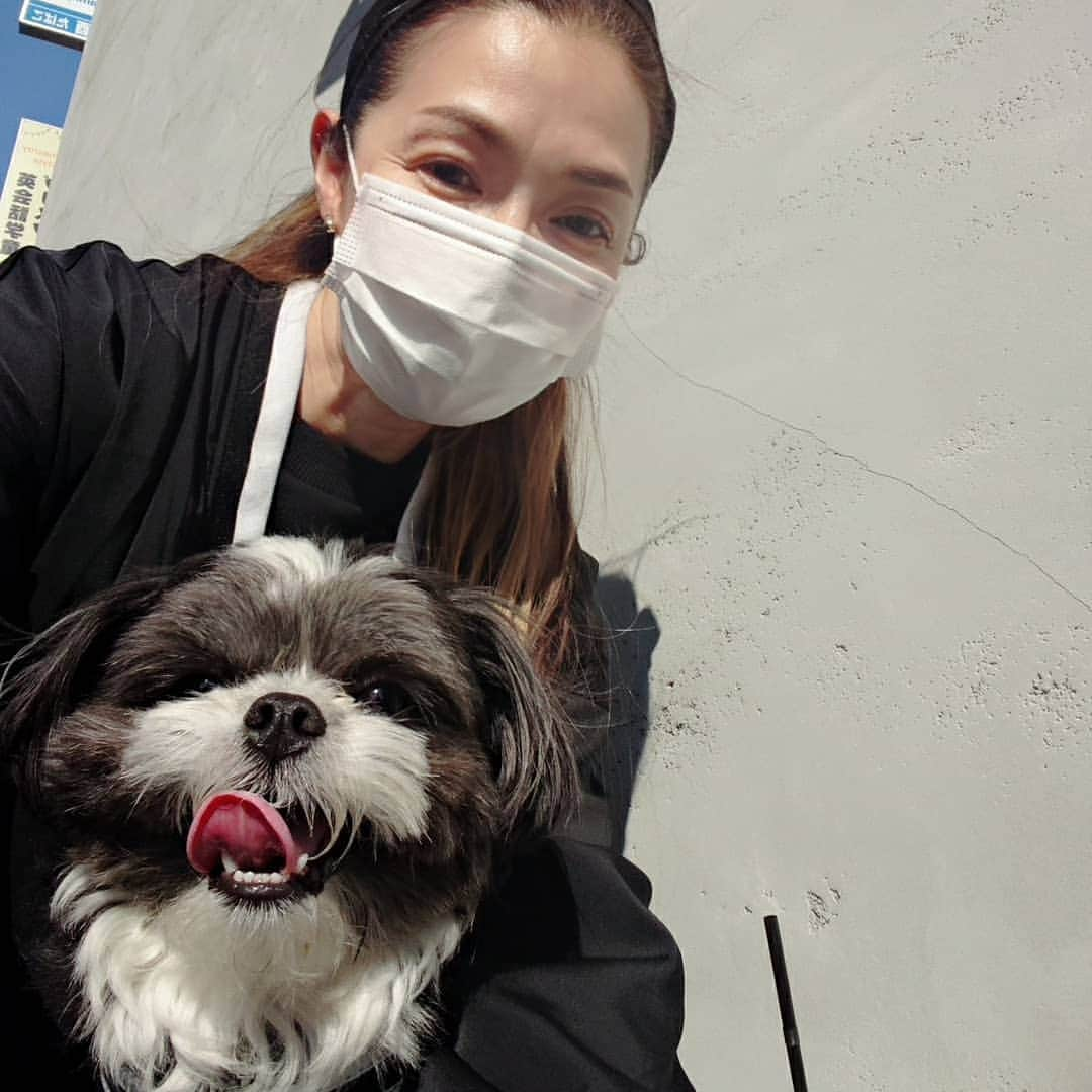 渡辺めぐみさんのインスタグラム写真 - (渡辺めぐみInstagram)「散歩の途中に、アイスカフェオレのテイクアウトして、ちょっと休憩しましたよ☺️👍👍👍 sicxの、コーヒー美味しいのです☺️👍👍👍 店長の富士丸君が、いなくて残念😣⤵️⤵️ パンダも、がっかりでした😣  #ドックカフェ #アイスカフェオレ #美味しい#散歩#鯉のぼり#花が好き #良い季節#コーヒーのある暮らし #ミックス犬大好き #ミックス犬 #instagrammer #instagramjapan #instagram #instagramlike #instagramgood」4月26日 20時35分 - meguheart