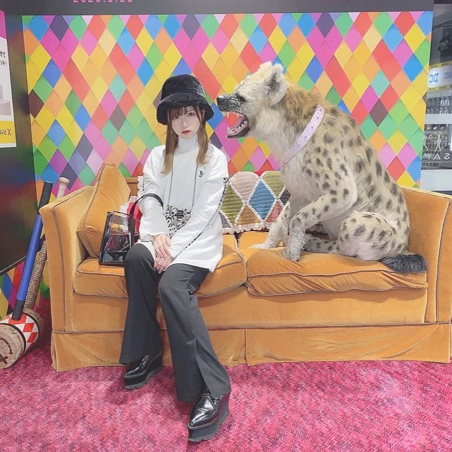 てぃ丸のインスタグラム：「写真ちょっとずつ載せてく🥳🥳🥳 #トイサピエンス原宿」