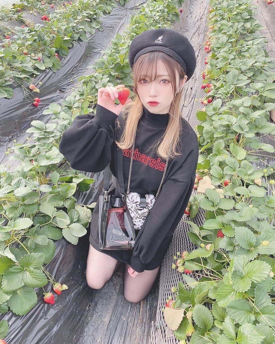 てぃ丸のインスタグラム：「イチゴ狩り🍓」