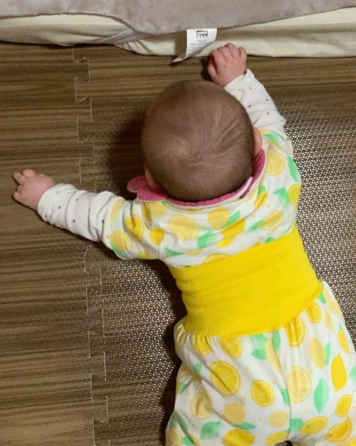 みかんのインスタグラム