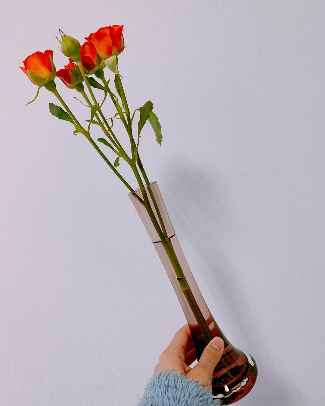 秋山ゆずきさんのインスタグラム写真 - (秋山ゆずきInstagram)「. . お家の中を華やかにしてくれる #ミニ薔薇 さん。 ずっと家にいるので ちょっとでも心がワクワクするなにかを 日々みつけてます🌹💫 . . #ミニ薔薇 #はなのあるくらし  #花のある暮らし  #stayhome  #花瓶 #おうち時間」4月26日 21時09分 - yuzukiakiyama