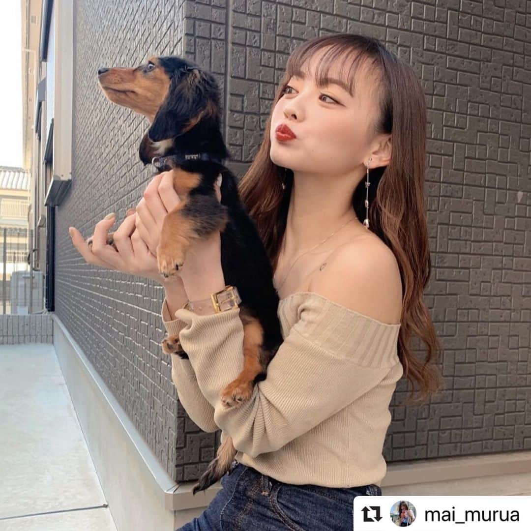 MURUAさんのインスタグラム写真 - (MURUAInstagram)「@mai_murua  ㅤㅤㅤ @kaori_sekimoto_ さんから いただいた　#stayhome リレー❤︎ 私のおうち時間は飼っている愛犬タピとの 時間を大切にしています❤️ . いつもは構ってあげれていない時間ずっといれるので昼寝を一緒にしたり、近場を散歩したりしてます❤︎ご飯を作っている時はタピはキッチンの下に来てなにかが落ちてくるのを待っているのですが食べたり食べなかったり好き嫌いがある事が発覚しました😳！ 毎日なにかしら発見があって 面白いです😂 . 最近はタピにお手を覚えさせようと 特訓中です🐾笑 . 皆さんはおうち時間🏡 どんな風に過ごしてますか？？ . NEXT→ @tsukasahayahisa さん❤️ つかささんのお家時間どうしてるのか 教えて下さい〜🥰💭 . @murua_by_staff #murua#murua_snap#stayhome #おうち#おうち時間#愛犬#タピ #いぬばか部#愛犬との暮らし#散歩」4月26日 21時14分 - murua_by_staff