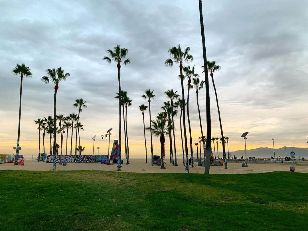 のインスタグラム：「GOOD EVENING CALIFORNIA.  #standardcalifornia #スタンダードカリフォルニア #goodeveningcalifornia  #2020springsummer #2020ss #california #fashion #ファッション」