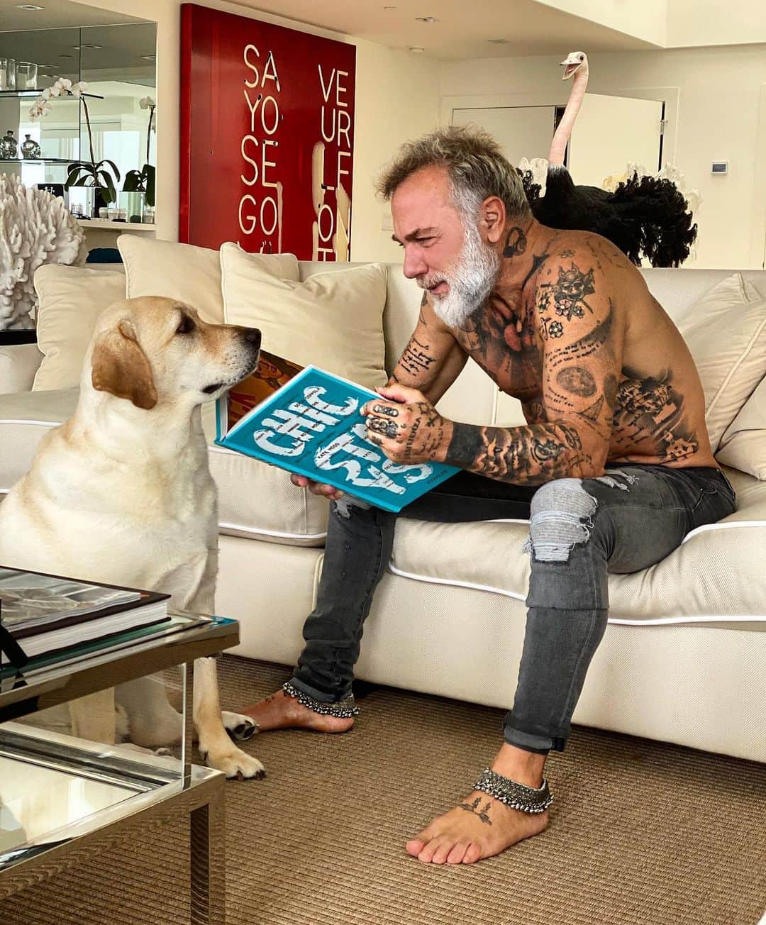 ジャンルカ・バッキさんのインスタグラム写真 - (ジャンルカ・バッキInstagram)「May I  see a book in peace Gordo? No personal space in this quarantine with him.. @sharfonseca  @olaf_elgordo  #gvlifestyle」4月27日 2時49分 - gianlucavacchi